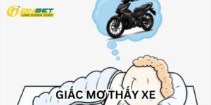 Ảnh Đại Diện Giấc Mơ Thấy Xe Đánh Số Gì