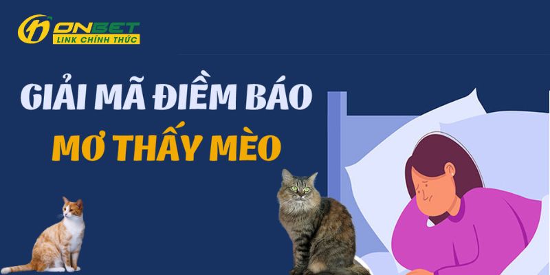 Có khá nhiều cách giải nghĩa cho giấc mơ thấy mèo